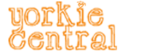 Shellys Yorkie Central logo